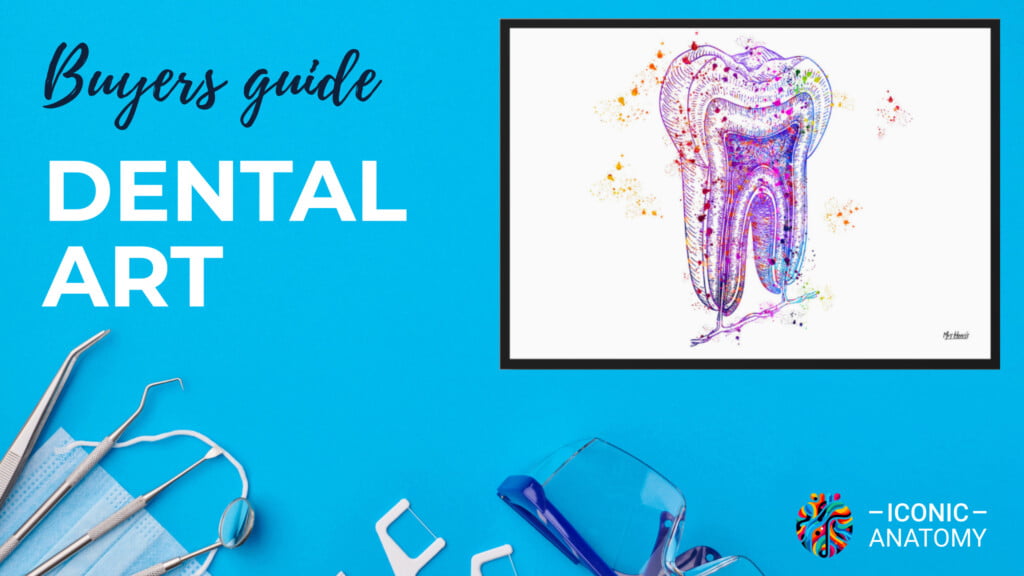 buyers guide dental art 1024x576 - Dentist Art - The best wall art paintings to brighten your dental clinic