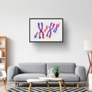 dream watercolour chromosomes lobby