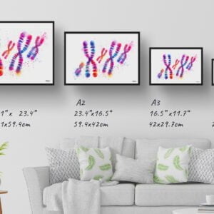 dream watercolour chromosomes print size comparison