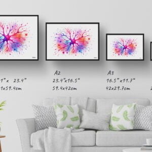dream watercolour cortical neurons print size comparison