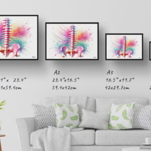 dream watercolour lumbar plexus nerves print size comparison
