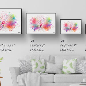 dream watercolour purkinje cells print size comparison
