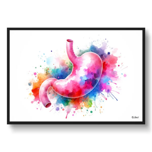 Stomach Wall Art Print Watercolour Digestive System Gastroenterology Medical Doctor Clinic Painting