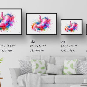 dream watercolour stomach print size comparison