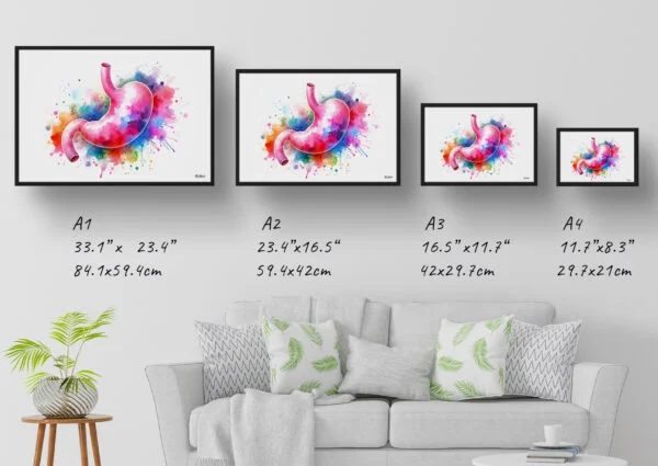 Stomach Wall Art Print Watercolour Digestive System Gastroenterology Medical Doctor Clinic Painting - Image 4