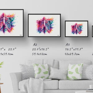 dream watercolour thorax print size comparison