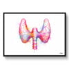 dream watercolour thyroid gland front view