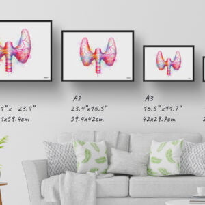dream watercolour thyroid gland print size comparison