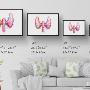 Thyroid gland Wall Art Print Watercolour Endocrinology Medical Doctor Clinic Painting - Image 4