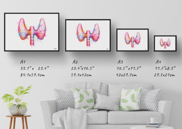 dream watercolour thyroid gland print size comparison