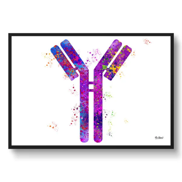 Antibodies Wall Art Print Watercolour IGG Immunoglobin Medical Doctor Office Clinic Framed Painting