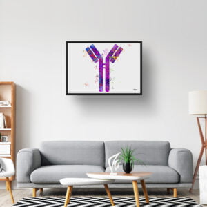 medical splash antibodies lobby