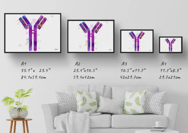 Antibodies Wall Art Print Watercolour IGG Immunoglobin Medical Doctor Office Clinic Framed Painting - Image 4