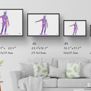 medical splash body print size comparison