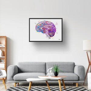 Brain (Side View) Anatomy Wall Art Print Watercolour Human Neurology Medical Doctor Office Clinic Framed Painting - Image 2