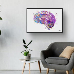 Brain (Side View) Anatomy Wall Art Print Watercolour Human Neurology Medical Doctor Office Clinic Framed Painting - Image 3