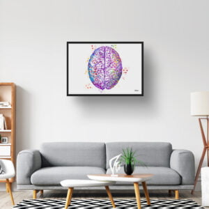 Brain (Top View) AnatomyWall Art Print Watercolour Human Neurology Medical Doctor Office Clinic Framed Painting - Image 2