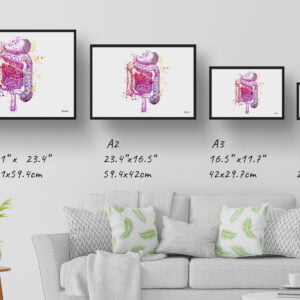 Digestive System Anatomy Wall Art Print Watercolour Medical Doctor Office Clinic Framed Painting - Image 4