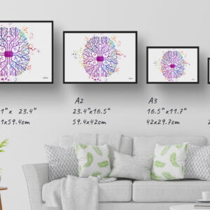 medical splash digital brain print size comparison