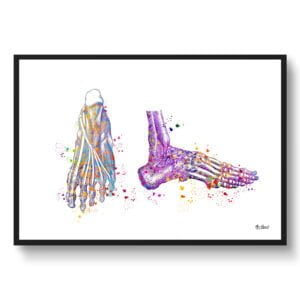 Feet Anatomy Wall Art Print Watercolour Foot Medical Doctor Office Clinic Framed Painting