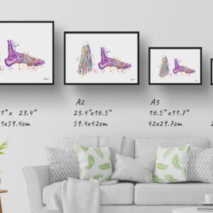 medical splash feet print size comparison