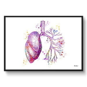 Lungs Anatomy Wall Art Print Watercolour Pulmonologist Medical Doctor Office Clinic Framed Painting