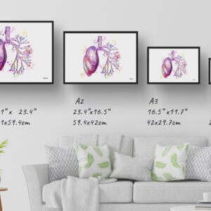 medical splash lungs print size comparison