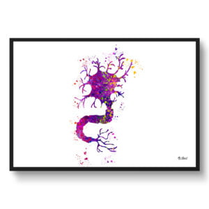 Nerve Cell Anatomy Wall Art Print Watercolour Human Neuroscience Medical Doctor Office Clinic Framed Painting