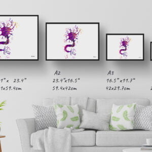 medical splash nerve cell print size comparison