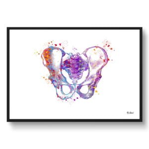 Pelvis Anatomy Wall Art Print Watercolour Hip Bone Medical Doctor Office Clinic Framed Painting