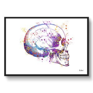 Skull & Teeth Wall Art Print Watercolour Tooth Anatomy Medical Dentist Office Clinic Wall Art