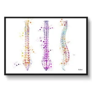 Spine / Vertebrae Anatomy Wall Art Print Watercolour Spinal Column Orthopedists Doctor Office Clinic Framed Painting