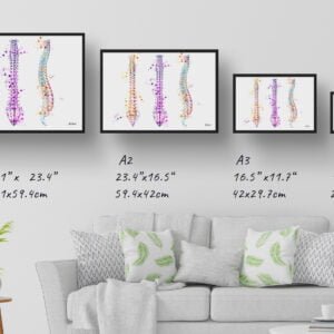 medical splash spine print size comparison
