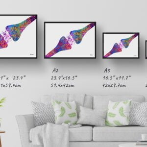 medical splash synapse print size comparison