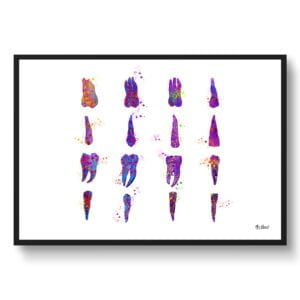 Teeth Set Wall Art Print Watercolour Tooth Anatomy Chart Dental Office Clinic Wall Art