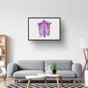 medical splash thorax lobby