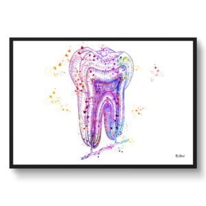 Tooth Structure Wall Art Print Watercolour Tooth Cross Section Anatomy Dental Office Clinic Wall Art