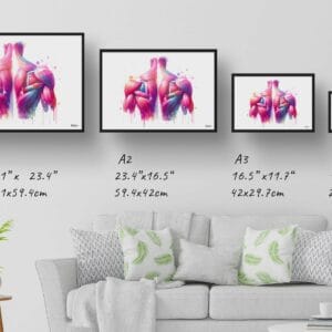 dream watercolour back muscles print size comparison