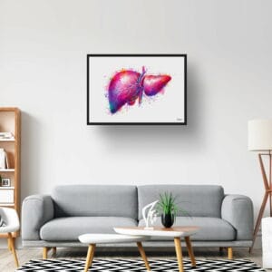dream watercolour liver lobby 1