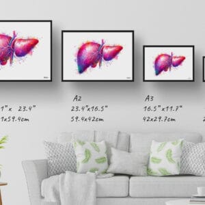 dream watercolour liver print size comparison 1