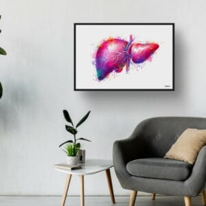 dream watercolour liver waiting room