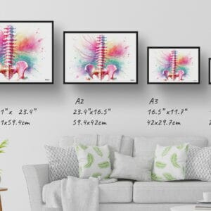 dream watercolour lumbar plexus nerves print size comparison
