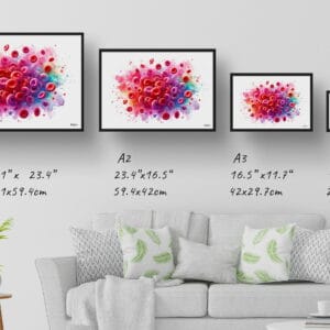 dream watercolour red blood cells print size comparison