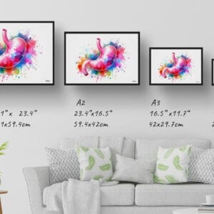 dream watercolour stomach print size comparison 1