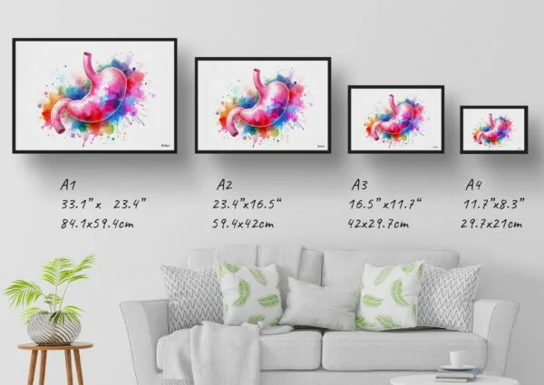 Stomach Wall Art Print Watercolour Digestive System Gastroenterology Medical Doctor Clinic Painting - Image 12