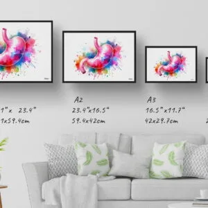 Stomach Wall Art Print Watercolour Digestive System Gastroenterology Medical Doctor Clinic Painting - Image 8
