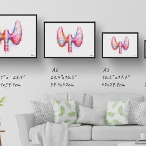 dream watercolour thyroid gland print size comparison 1
