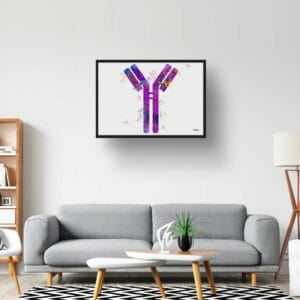 medical splash antibodies lobby