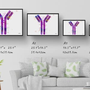 medical splash antibodies print size comparison