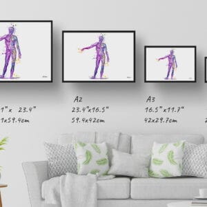 medical splash body print size comparison